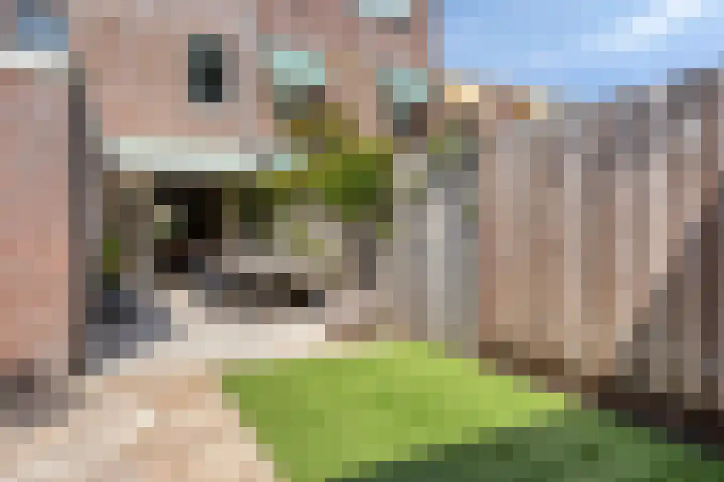 Duinzichtstraat 24 Oegstgeest thumbnail 19