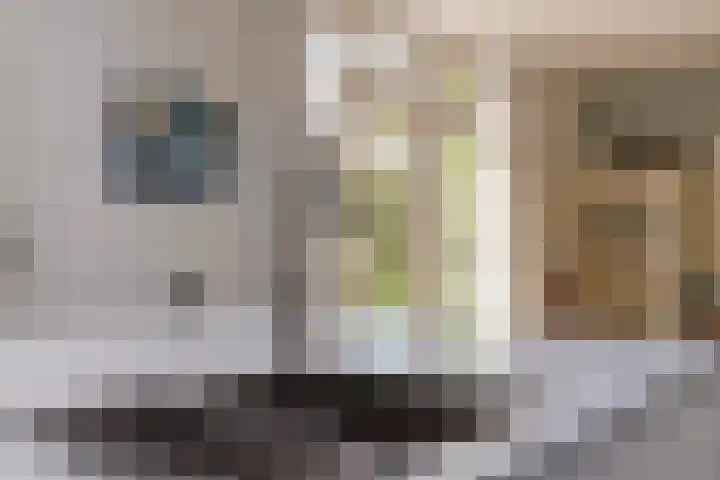 Duinzichtstraat 3 Oegstgeest thumbnail 21