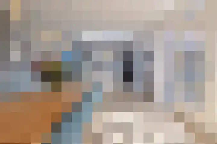 Duinzichtstraat 3 Oegstgeest thumbnail 25