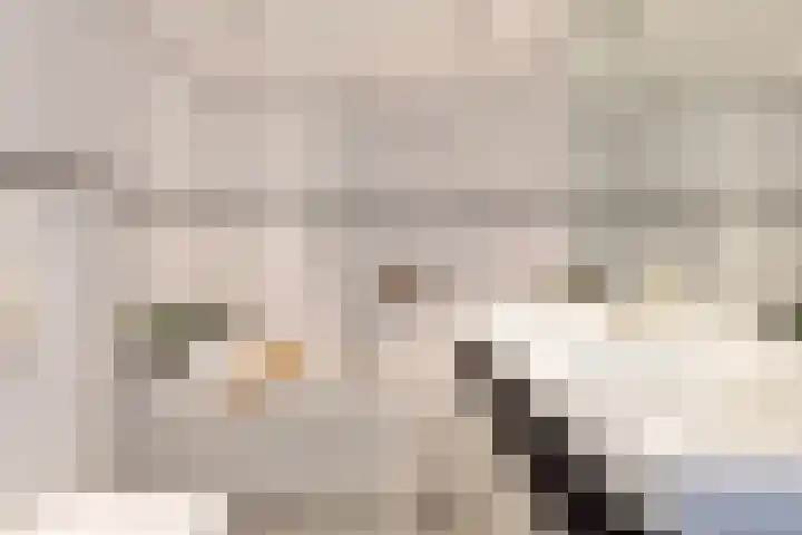 Duinzichtstraat 3 Oegstgeest thumbnail 33