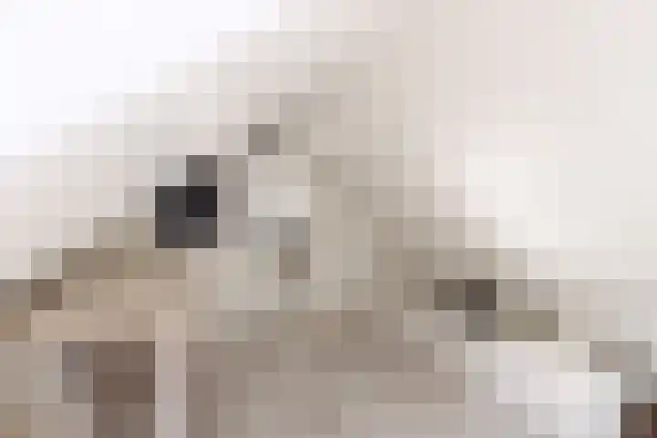 Duinzichtstraat 3 Oegstgeest thumbnail 38