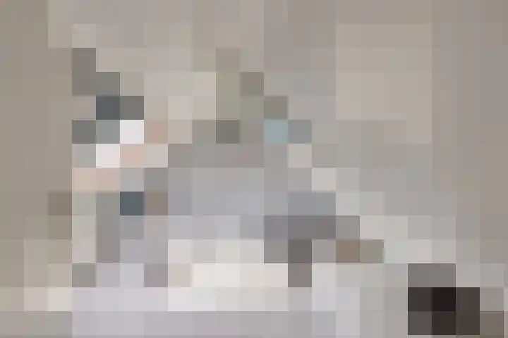 Duinzichtstraat 3 Oegstgeest thumbnail 39