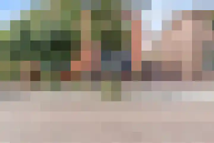 Duinzichtstraat 3 Oegstgeest thumbnail 4