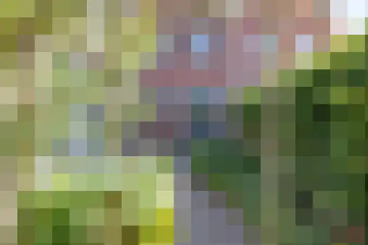 Duinzichtstraat 3 Oegstgeest thumbnail 44