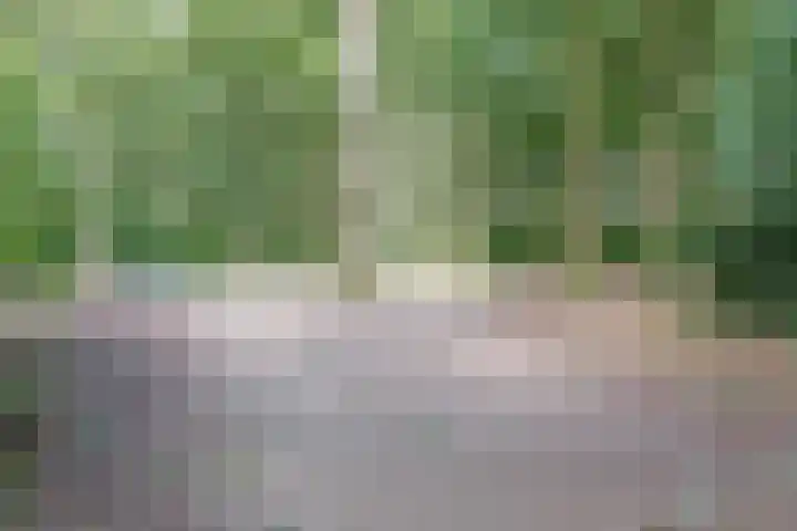 Duinzichtstraat 3 Oegstgeest thumbnail 47