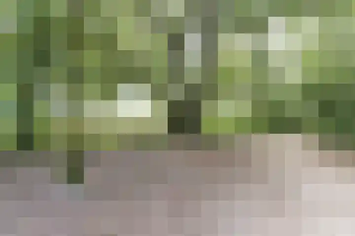 Duinzichtstraat 3 Oegstgeest thumbnail 48