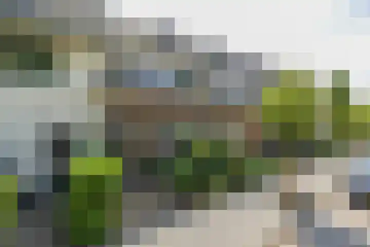 Duinzichtstraat 50 Oegstgeest thumbnail 4