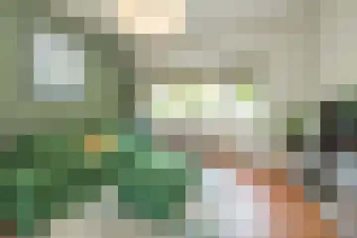 Duinzichtstraat 50 Oegstgeest thumbnail 9