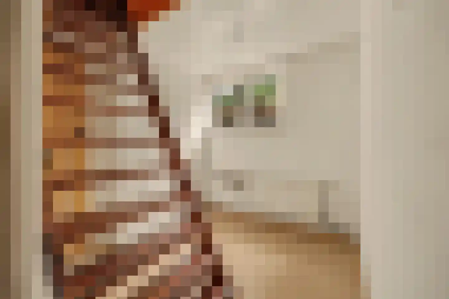 Duinzoom 36 a Rockanje thumbnail 11