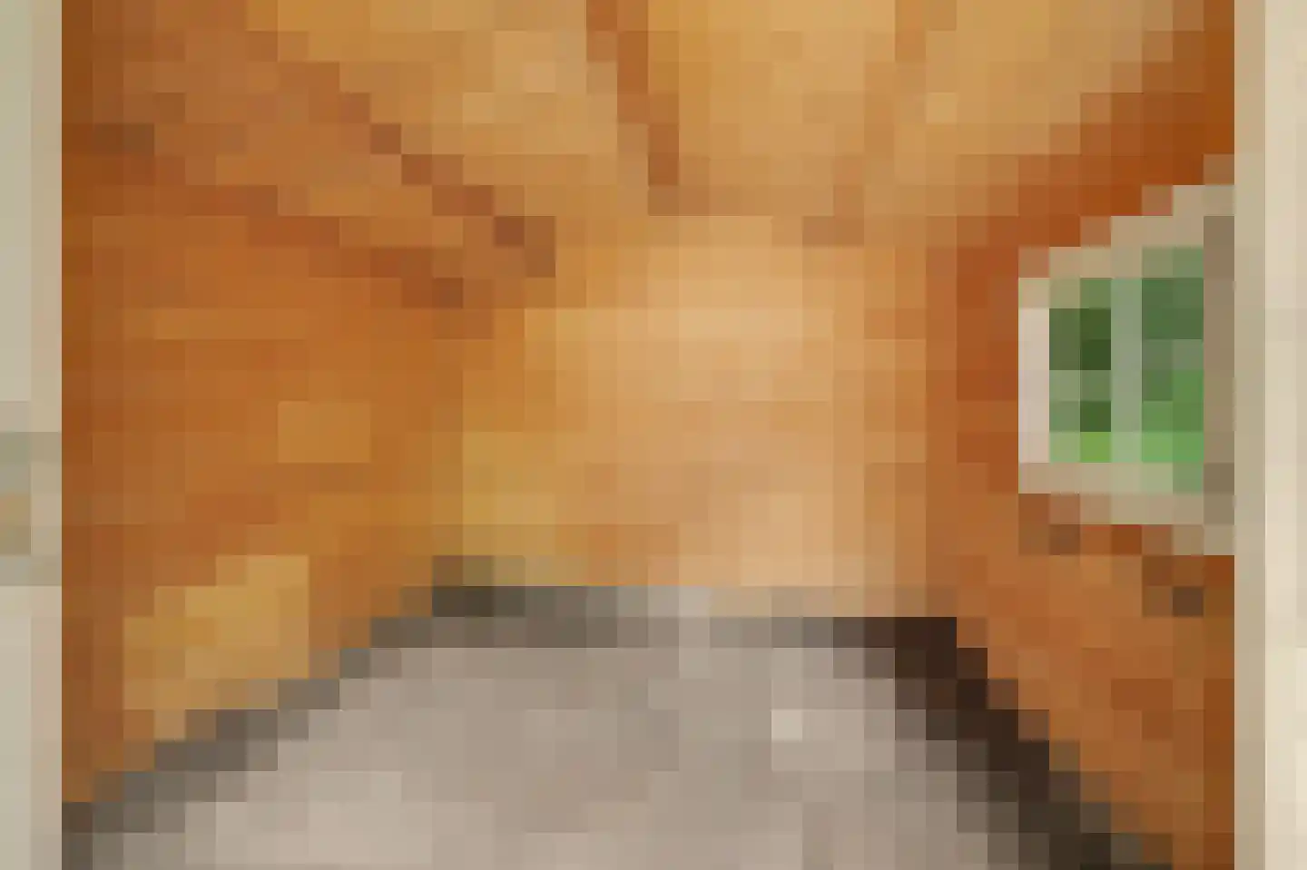 Duinzoom 36 a Rockanje thumbnail 24