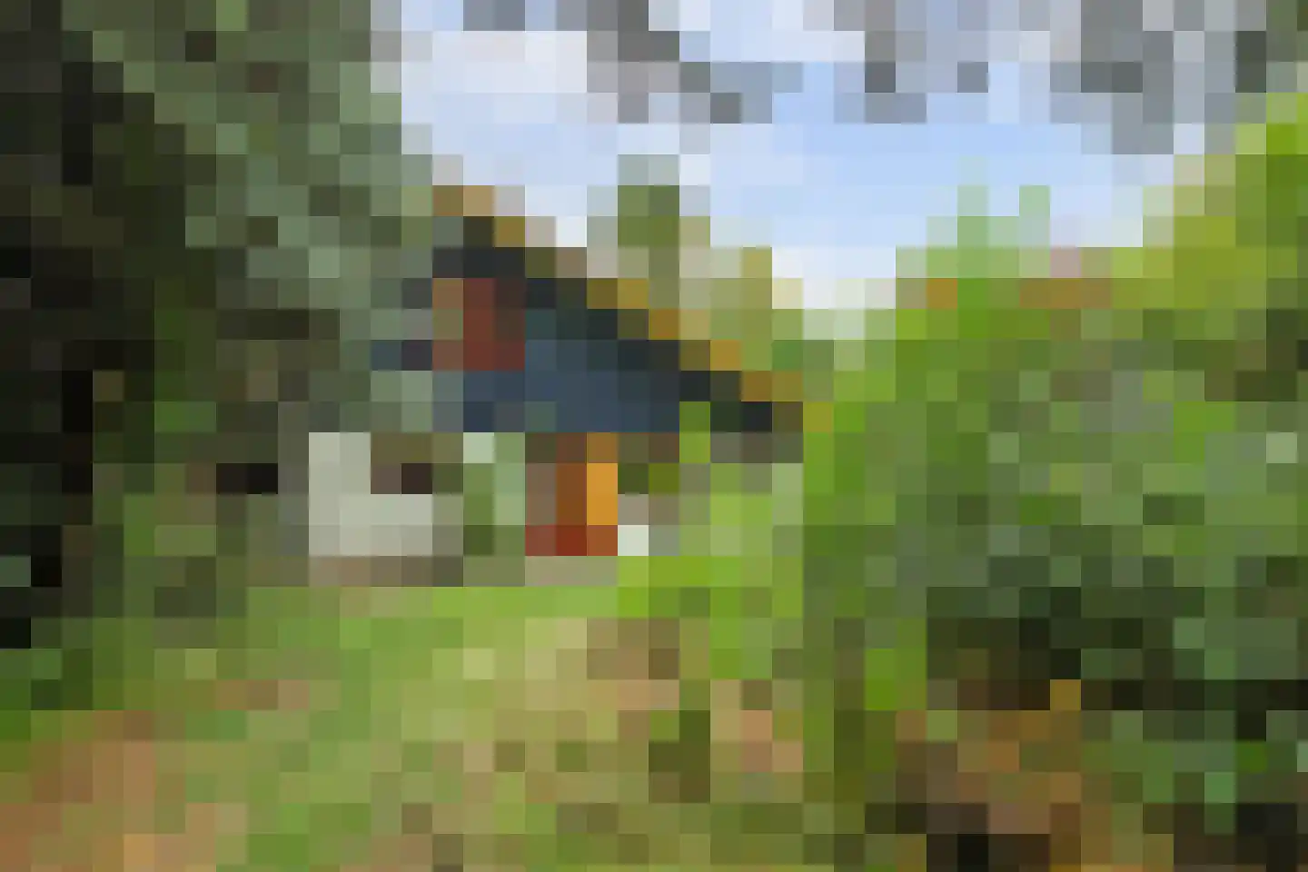 Duinzoom 36 a Rockanje thumbnail 25