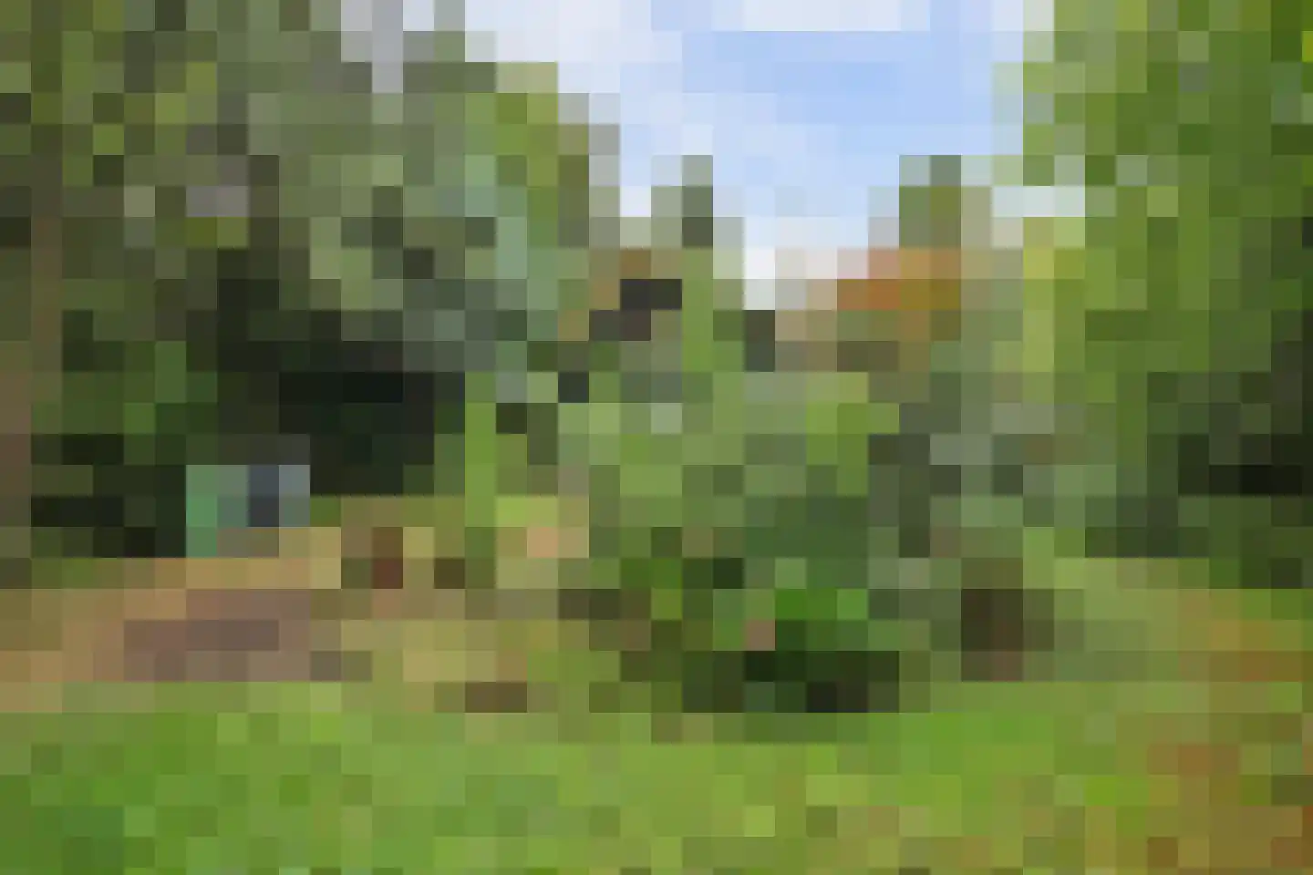Duinzoom 36 a Rockanje thumbnail 28