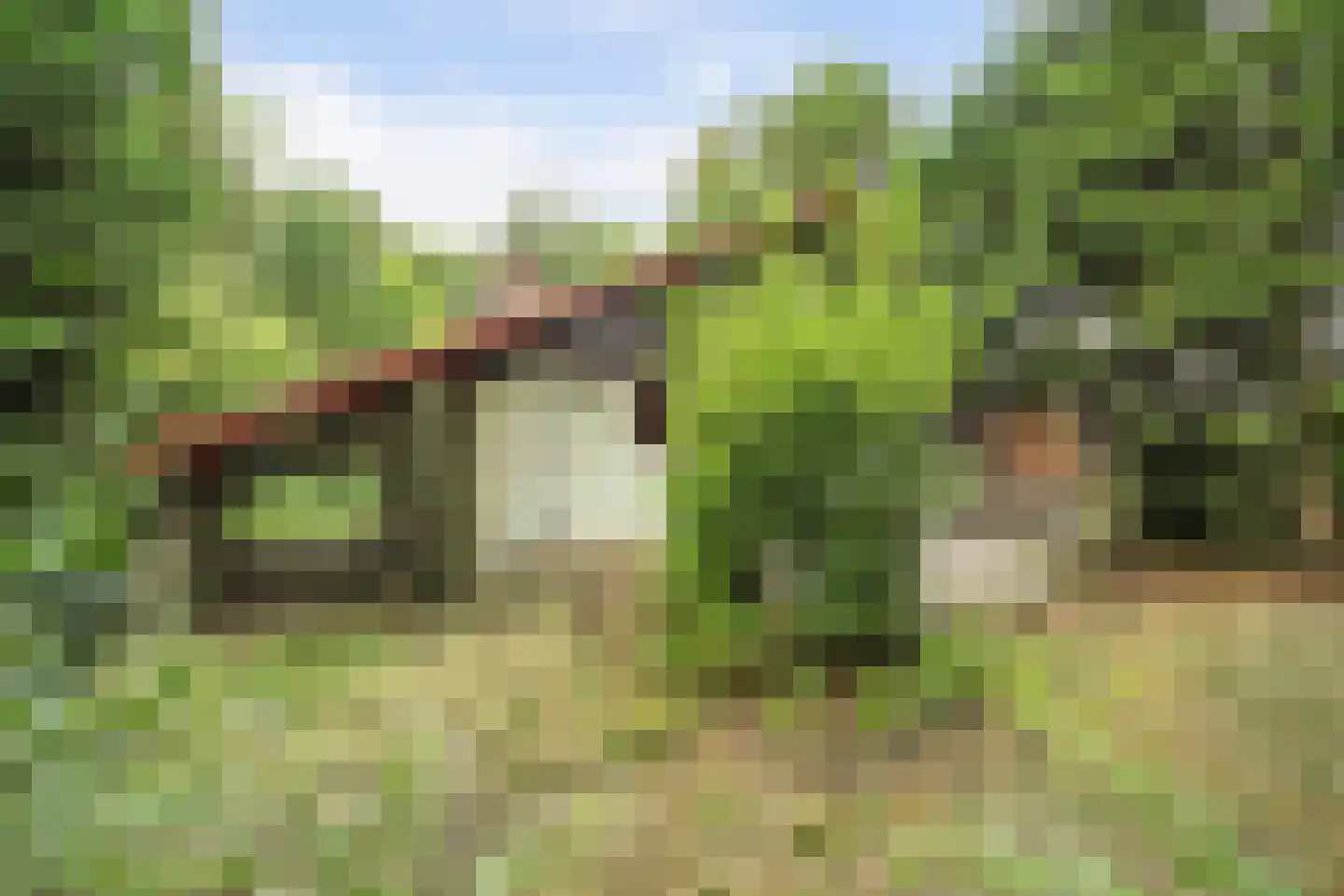 Duinzoom 36 a Rockanje thumbnail 29