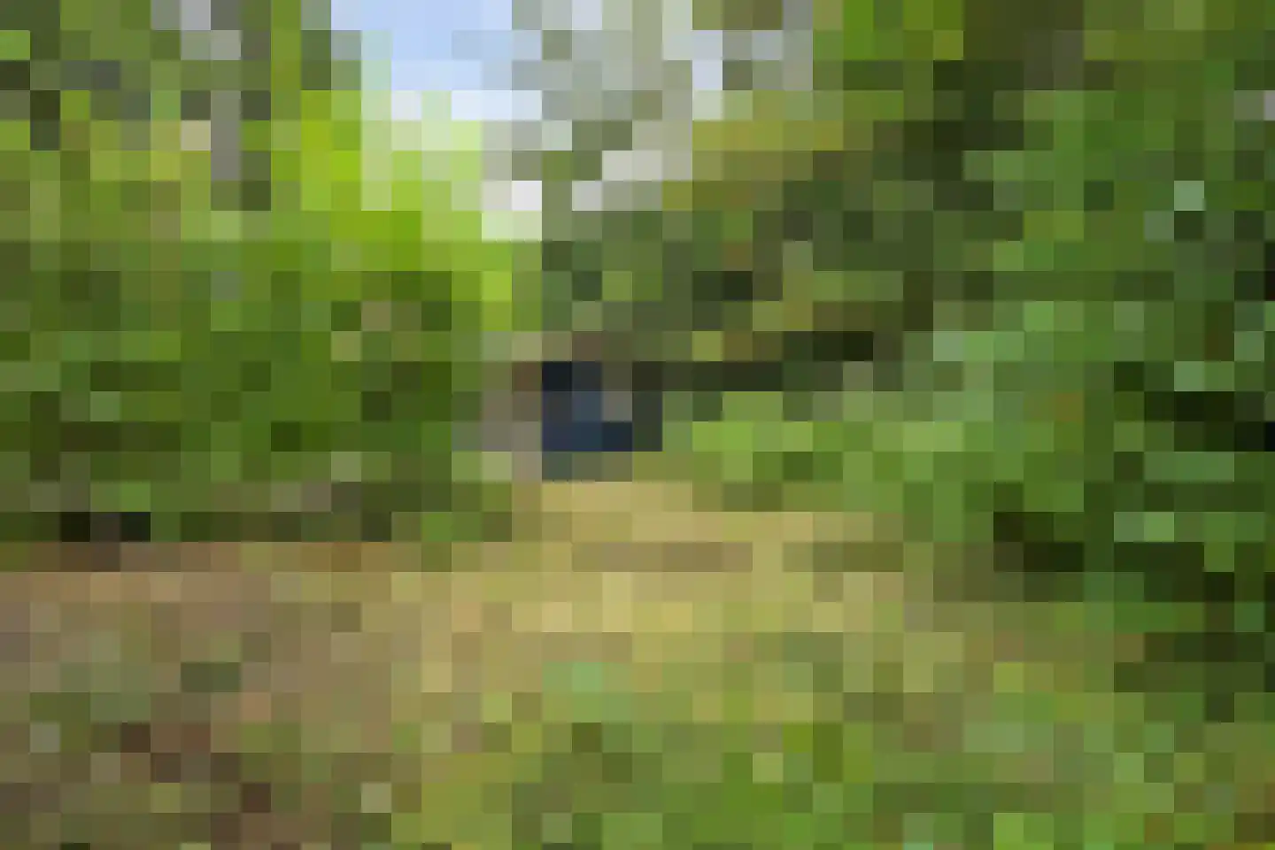 Duinzoom 36 a Rockanje thumbnail 30