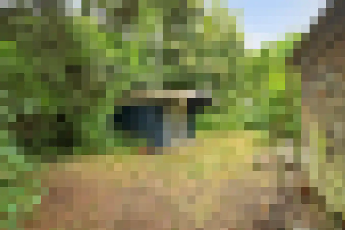 Duinzoom 36 a Rockanje thumbnail 31