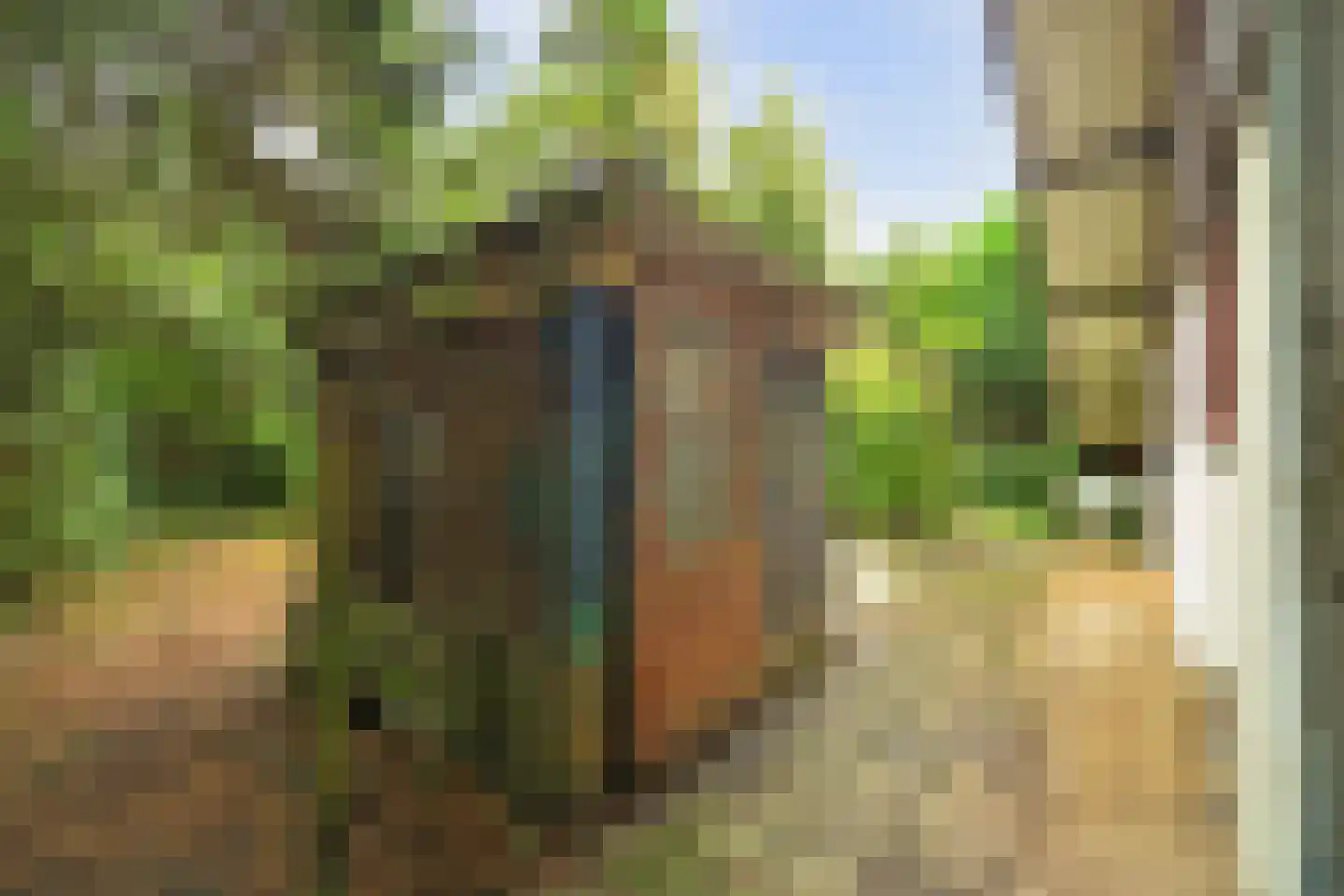 Duinzoom 36 a Rockanje thumbnail 32