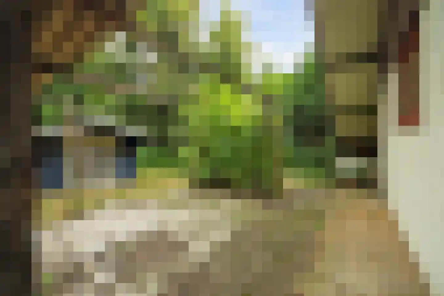 Duinzoom 36 a Rockanje thumbnail 33