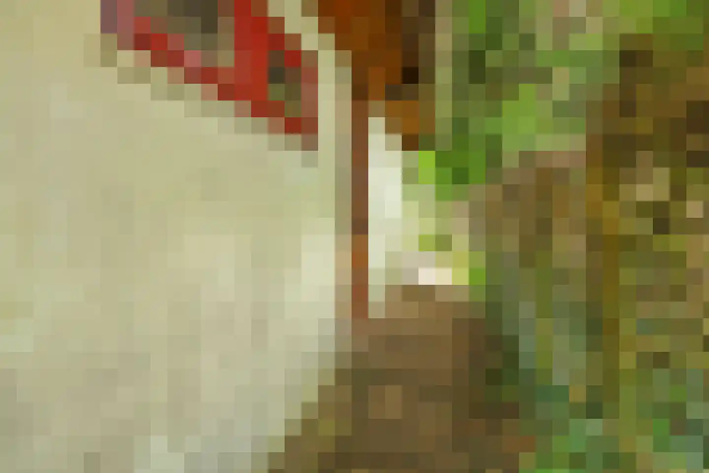 Duinzoom 36 a Rockanje thumbnail 34