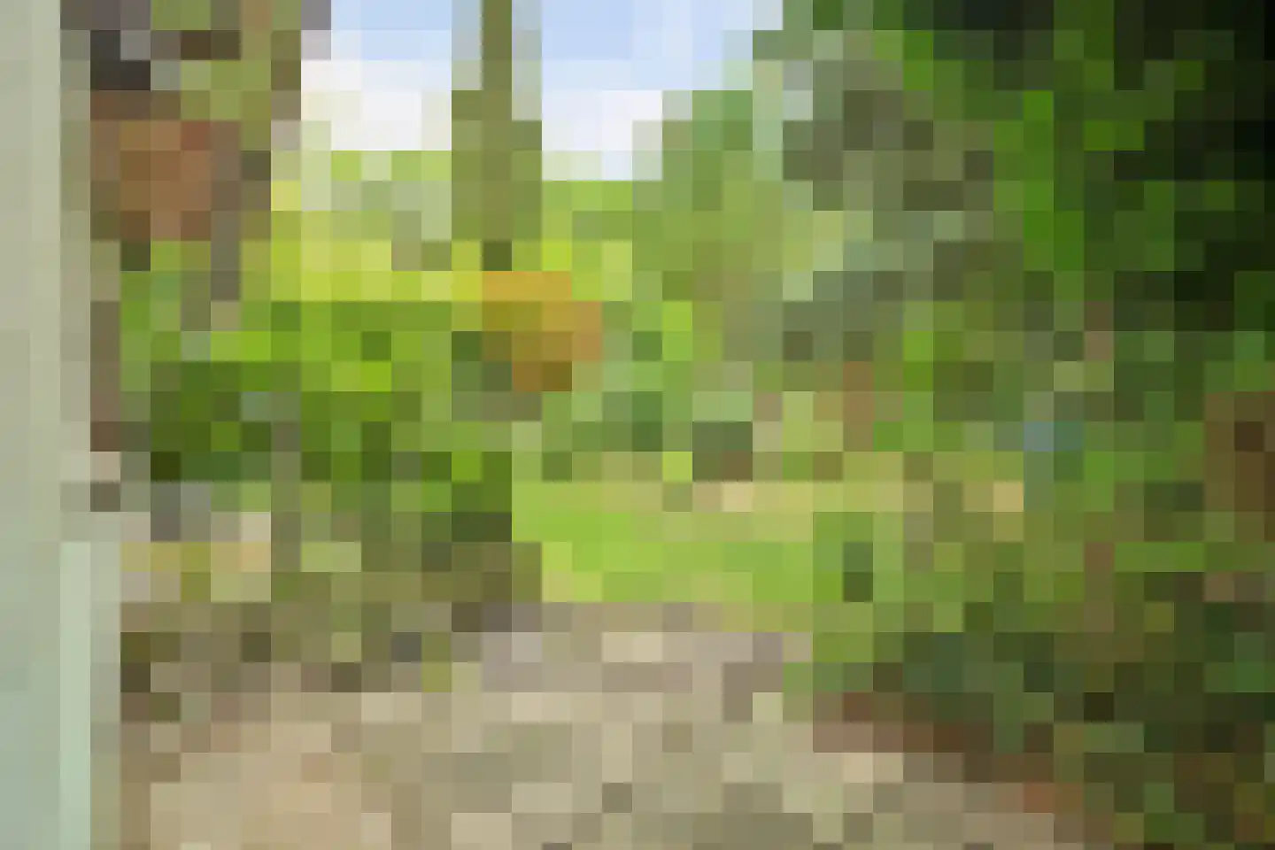 Duinzoom 36 a Rockanje thumbnail 35