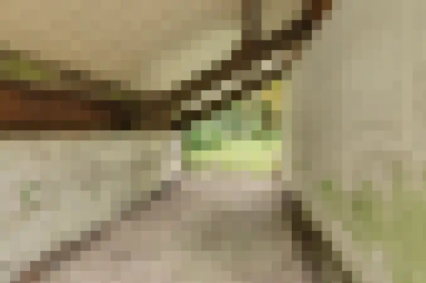 Duinzoom 36 a Rockanje thumbnail 36