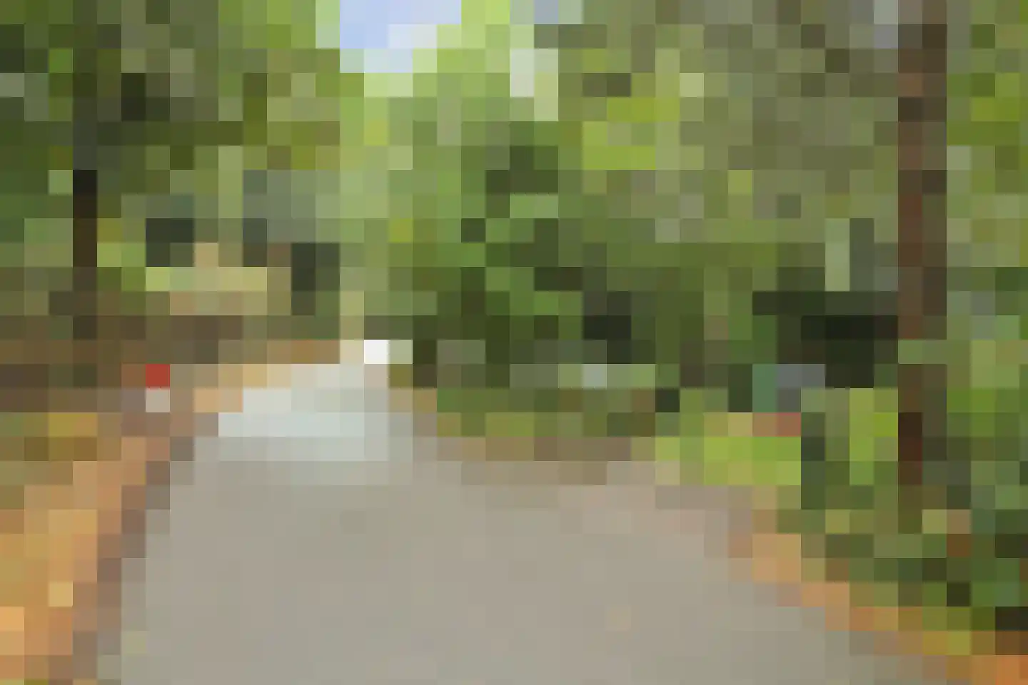 Duinzoom 36 a Rockanje thumbnail 38