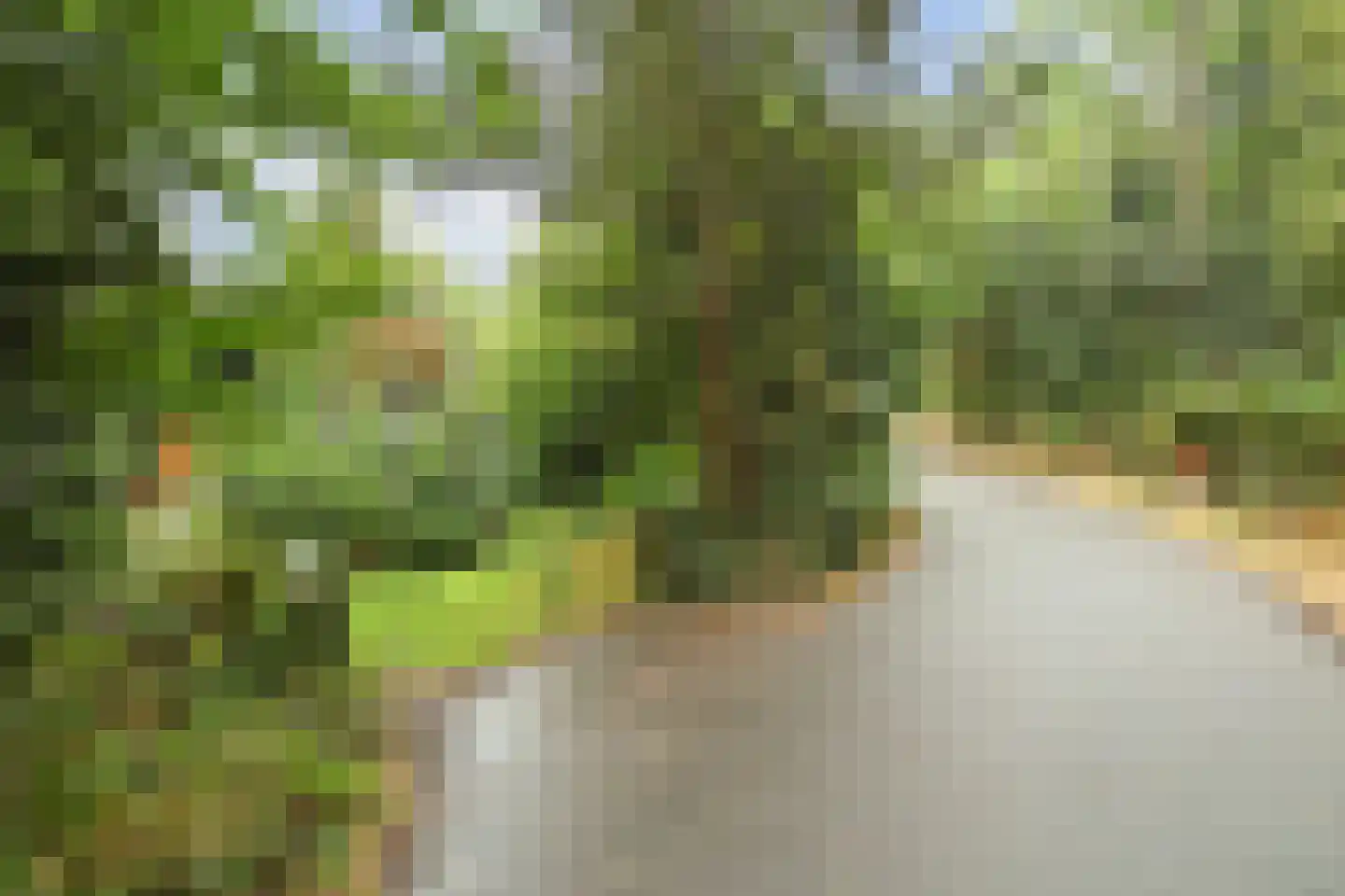Duinzoom 36 a Rockanje thumbnail 39