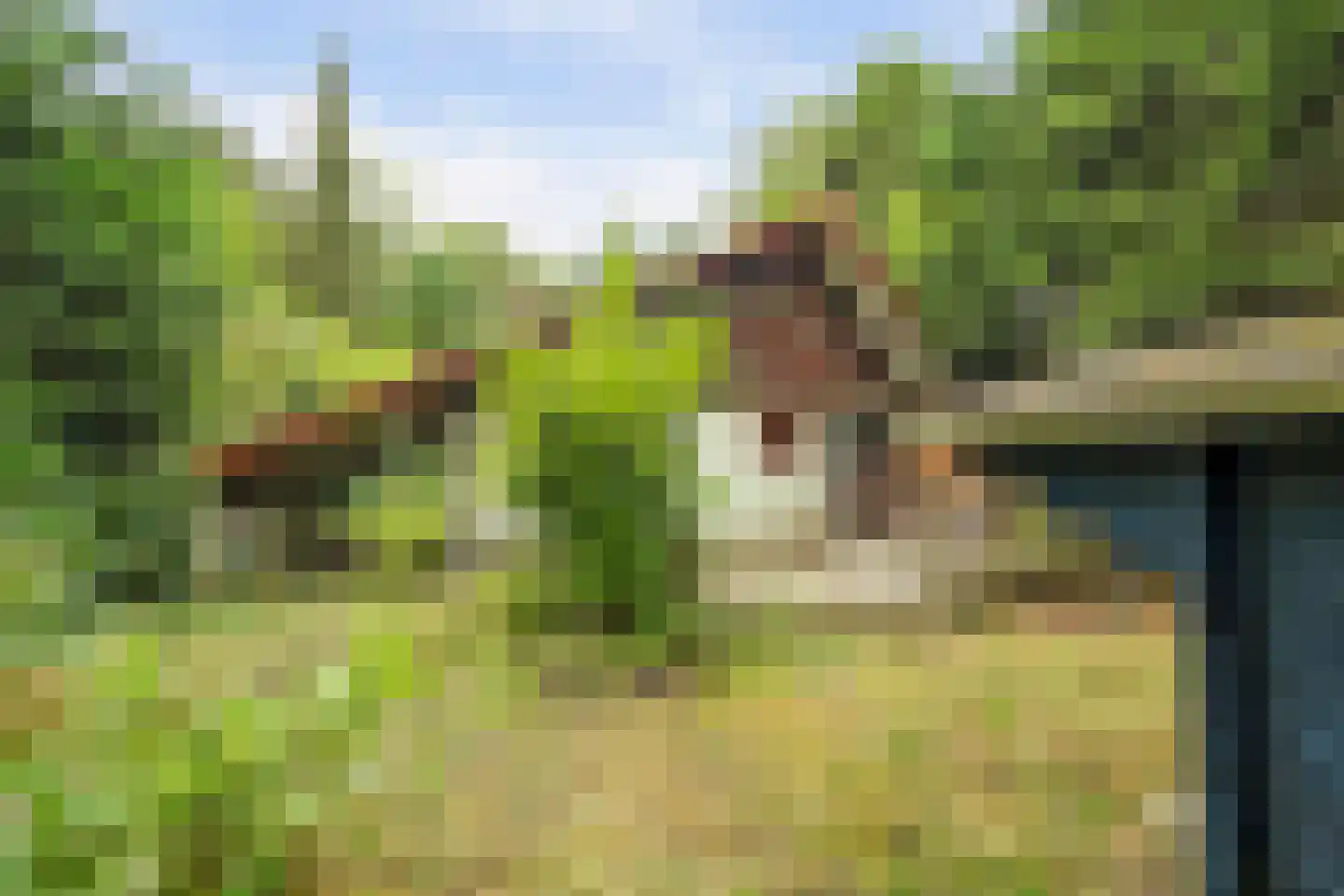 Duinzoom 36 a Rockanje thumbnail 4