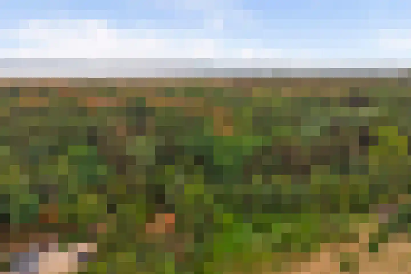 Duinzoom 36 a Rockanje thumbnail 41