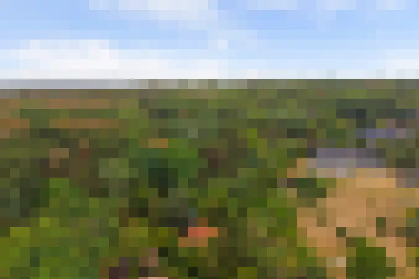 Duinzoom 36 a Rockanje thumbnail 42
