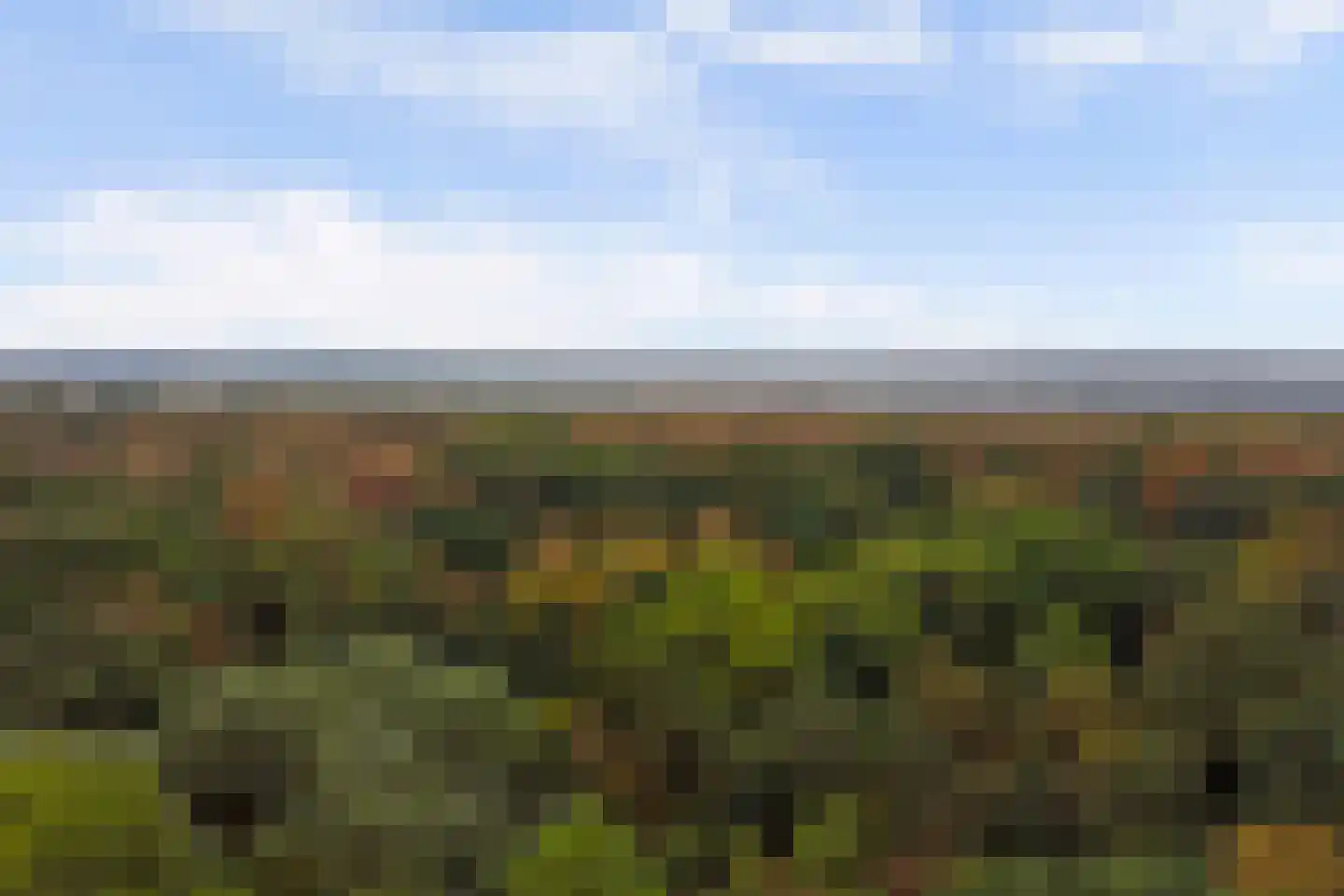 Duinzoom 36 a Rockanje thumbnail 43
