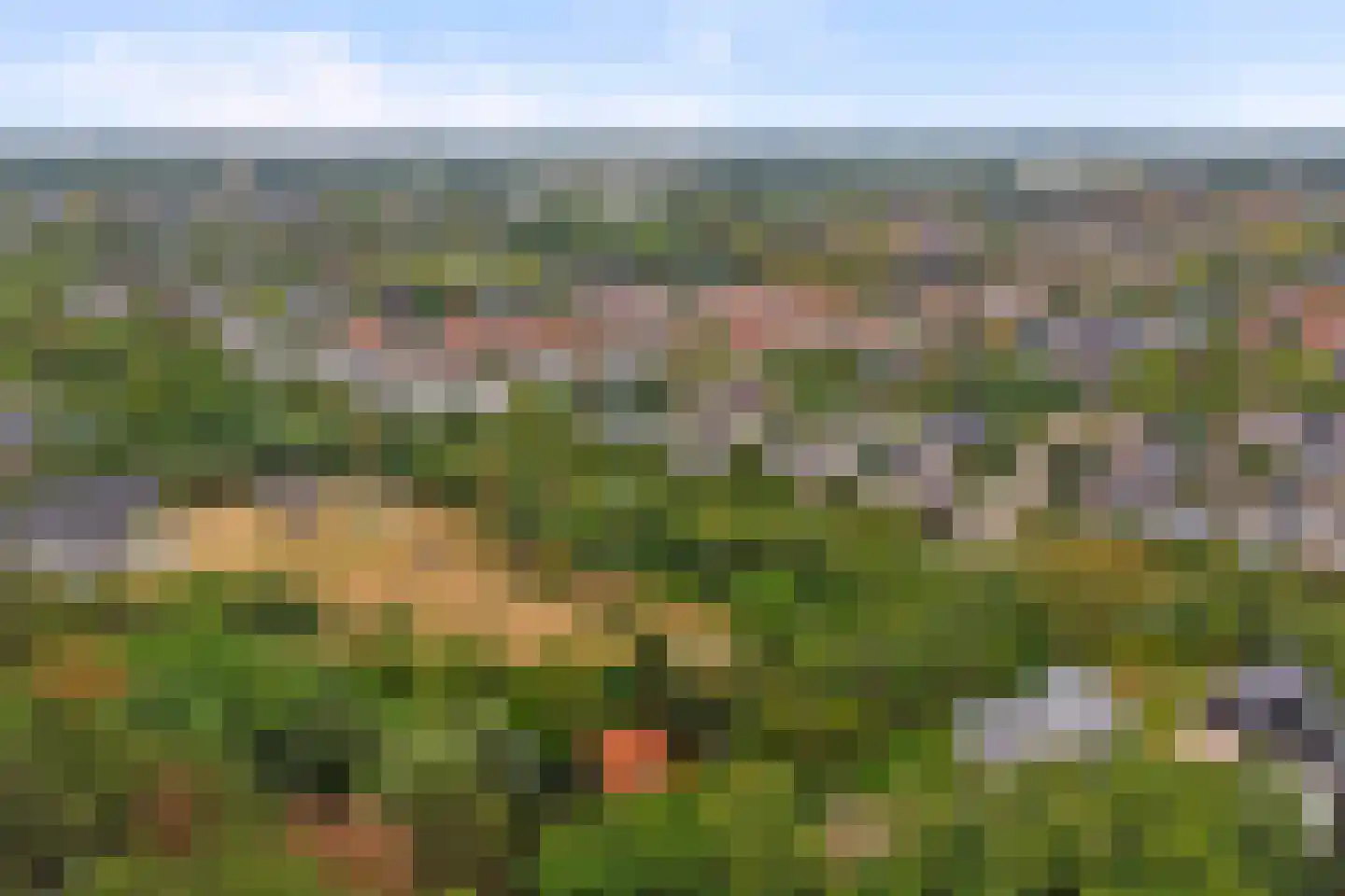 Duinzoom 36 a Rockanje thumbnail 45