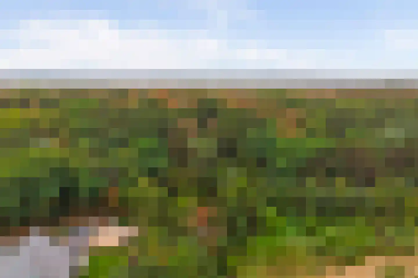 Duinzoom 36 a Rockanje thumbnail 48