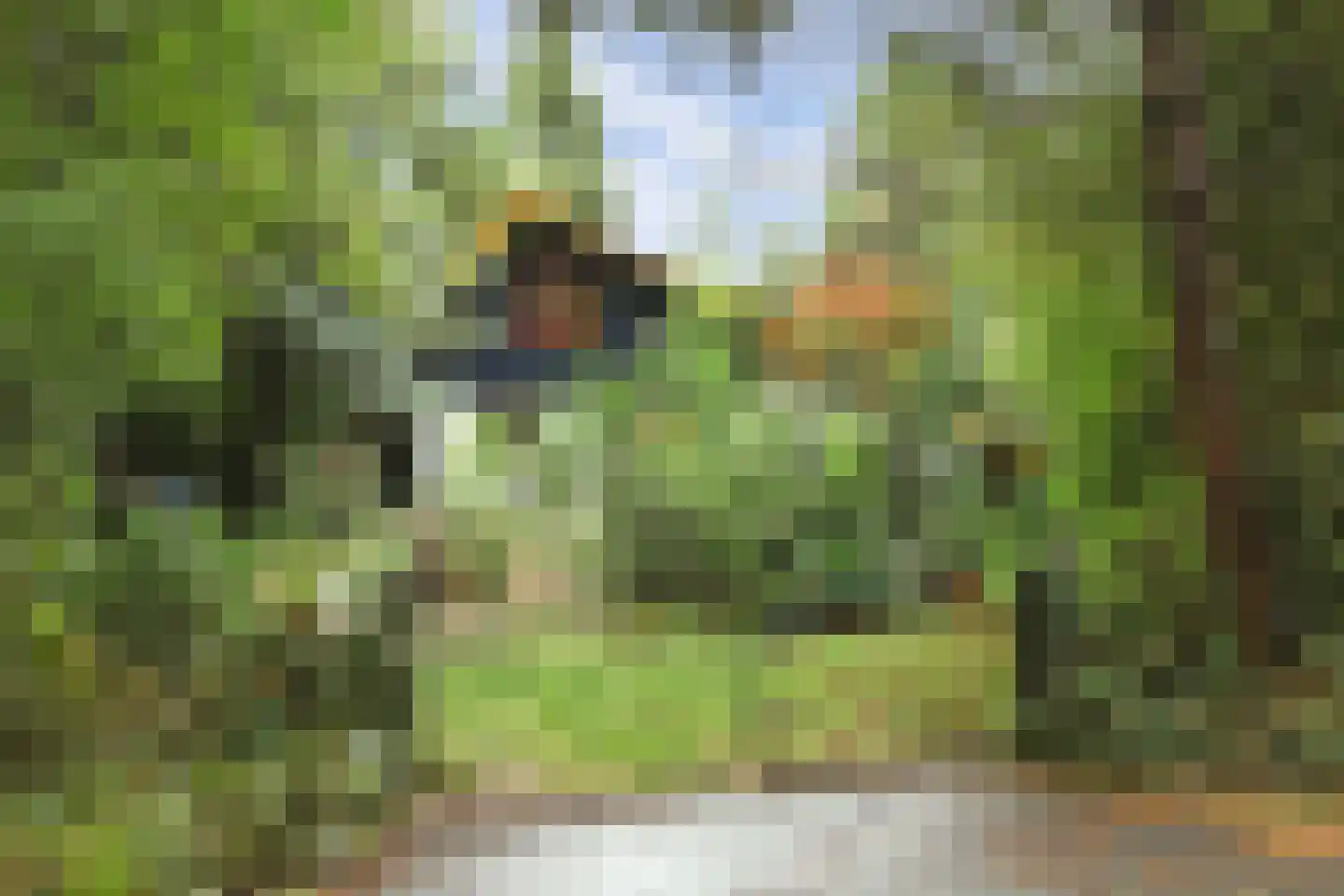 Duinzoom 36 a Rockanje thumbnail 6