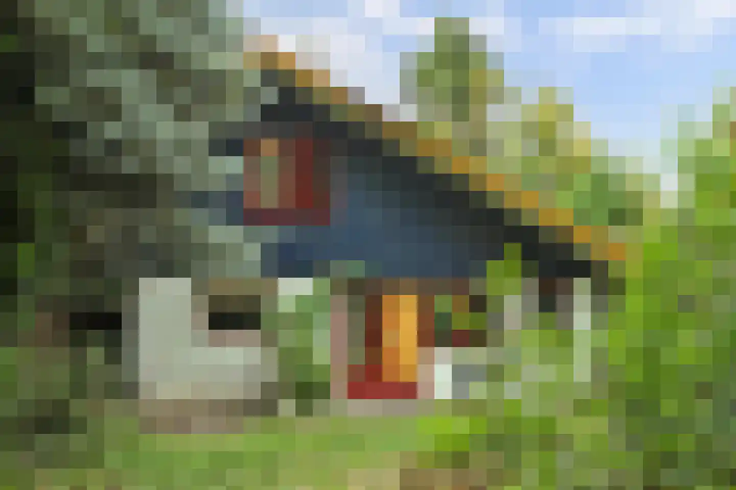 Duinzoom 36 a Rockanje thumbnail 7