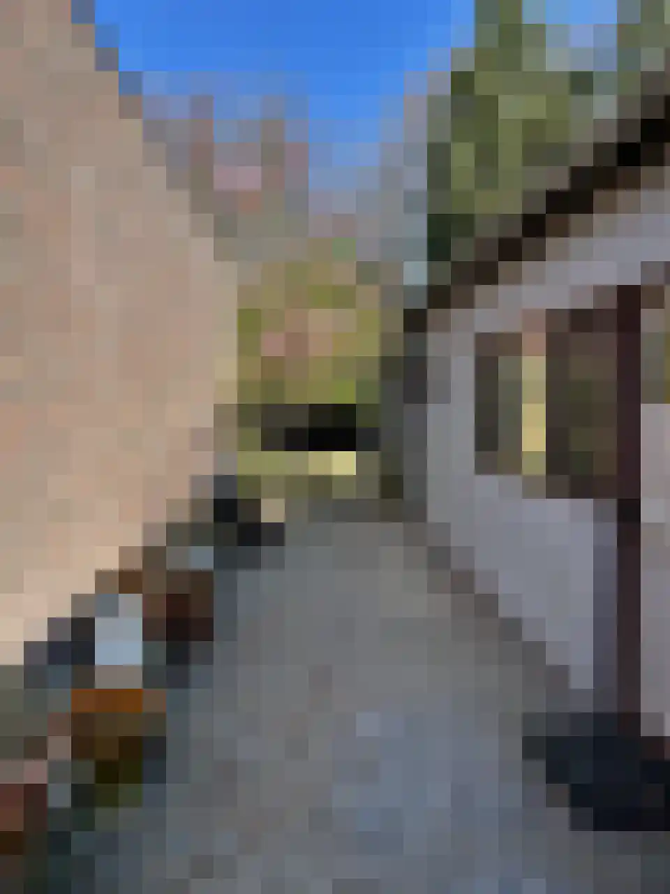 Duiperweg 46 Roermond thumbnail 19