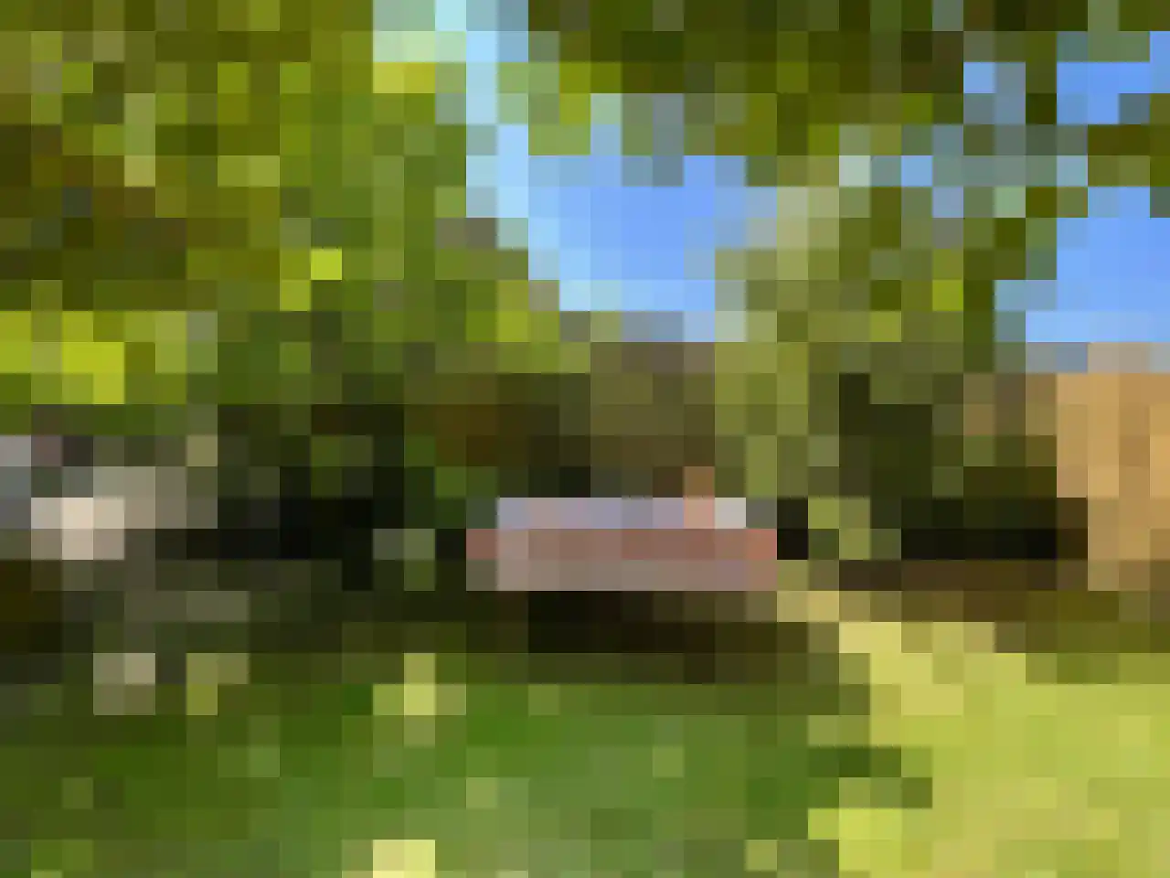 Duiperweg 46 Roermond thumbnail 23