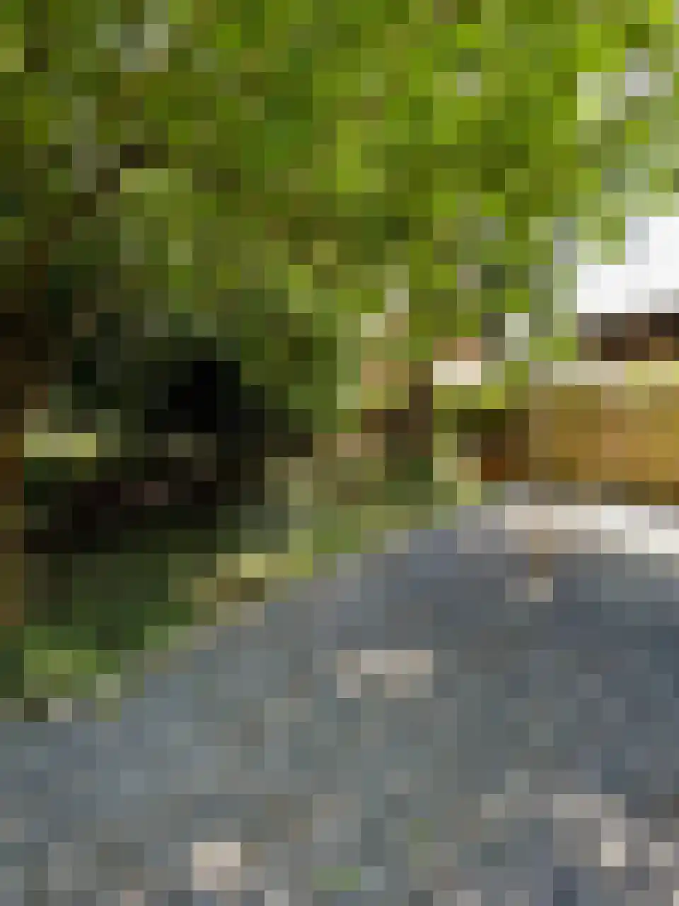 Duiperweg 46 Roermond thumbnail 25