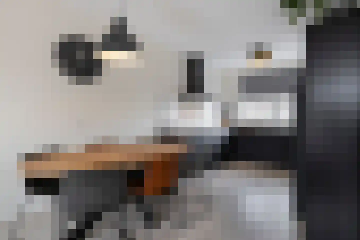 Duist 15 Anna Paulowna thumbnail 13