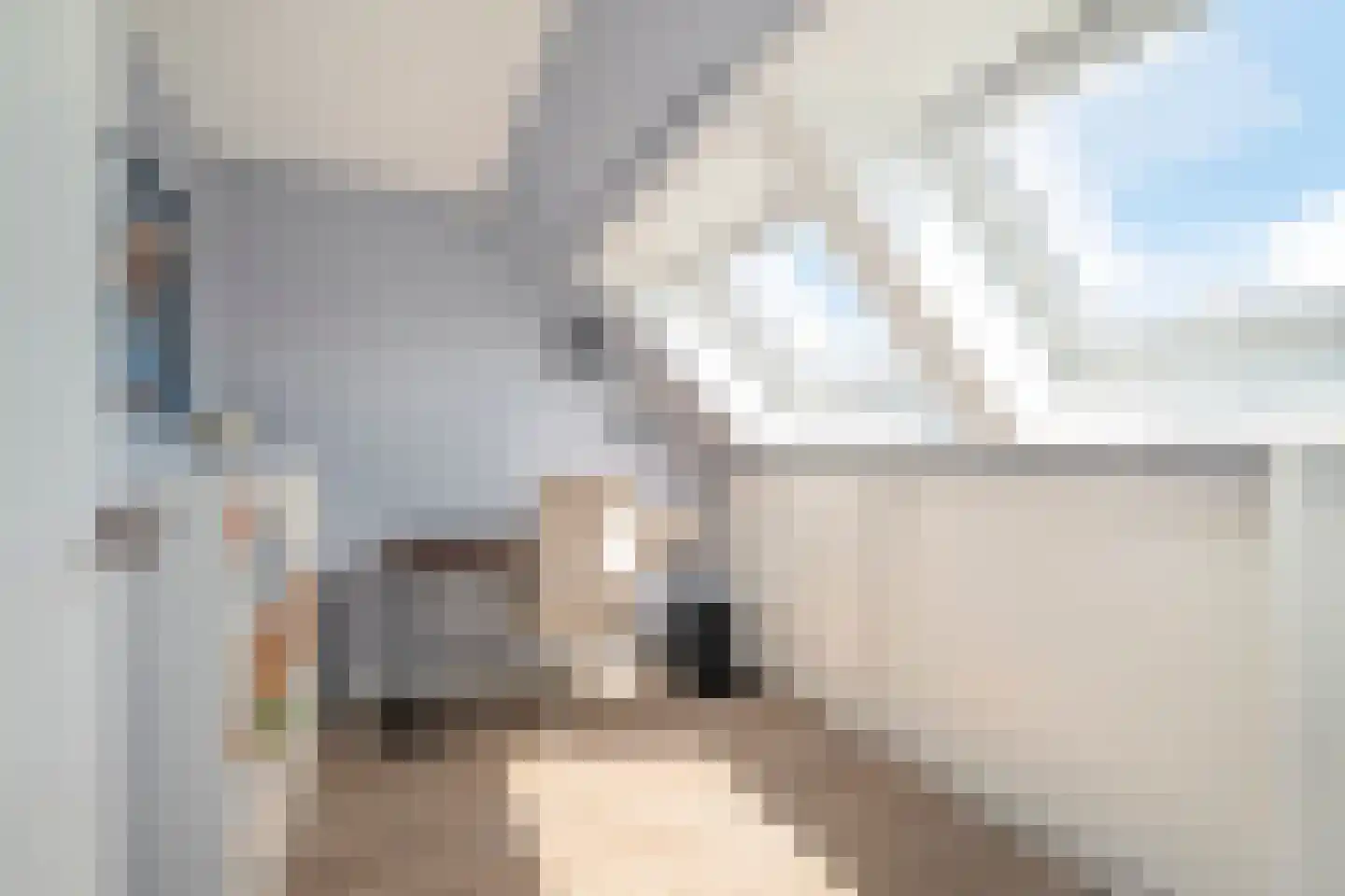 Duist 17 Anna Paulowna thumbnail 29