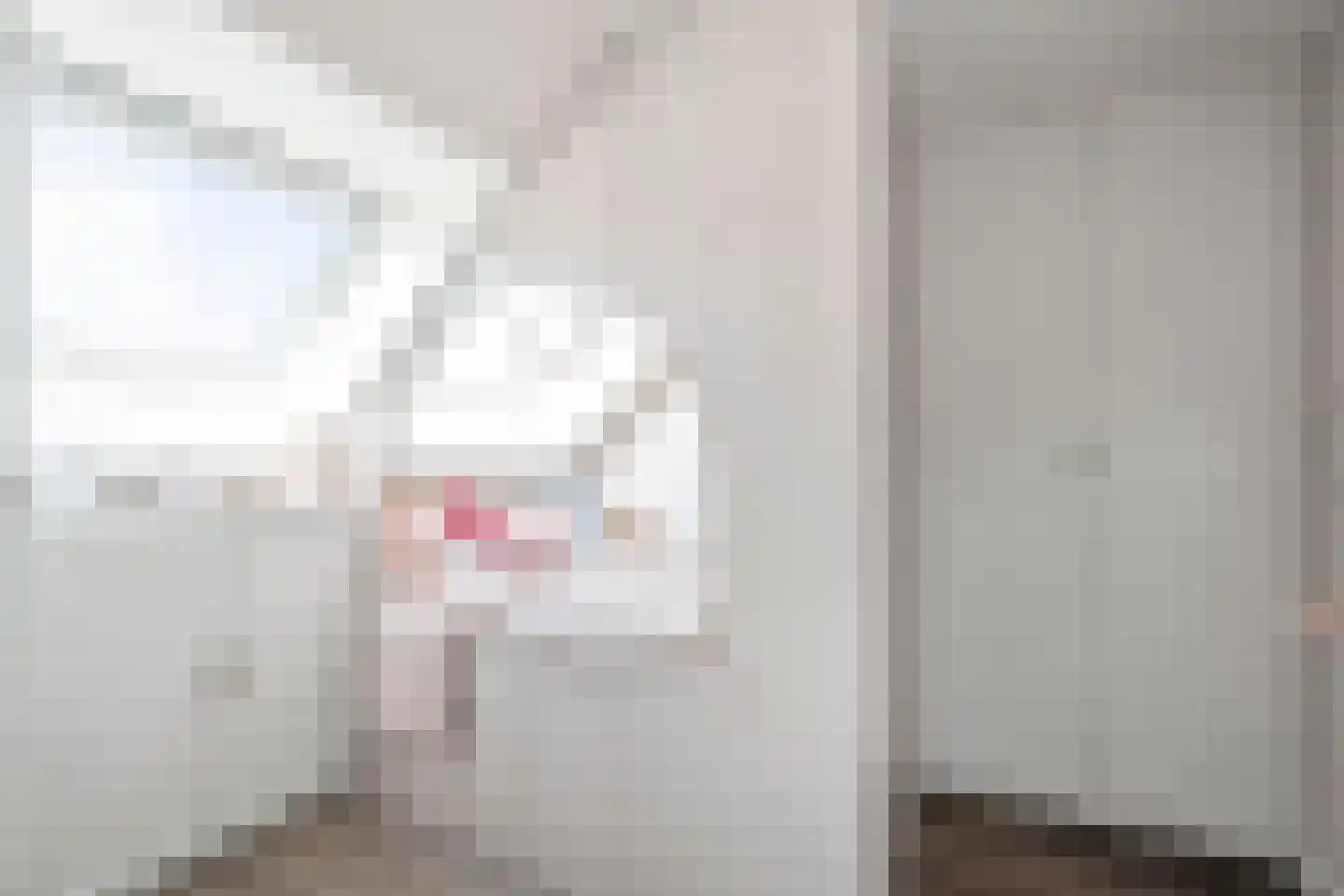 Duist 17 Anna Paulowna thumbnail 31