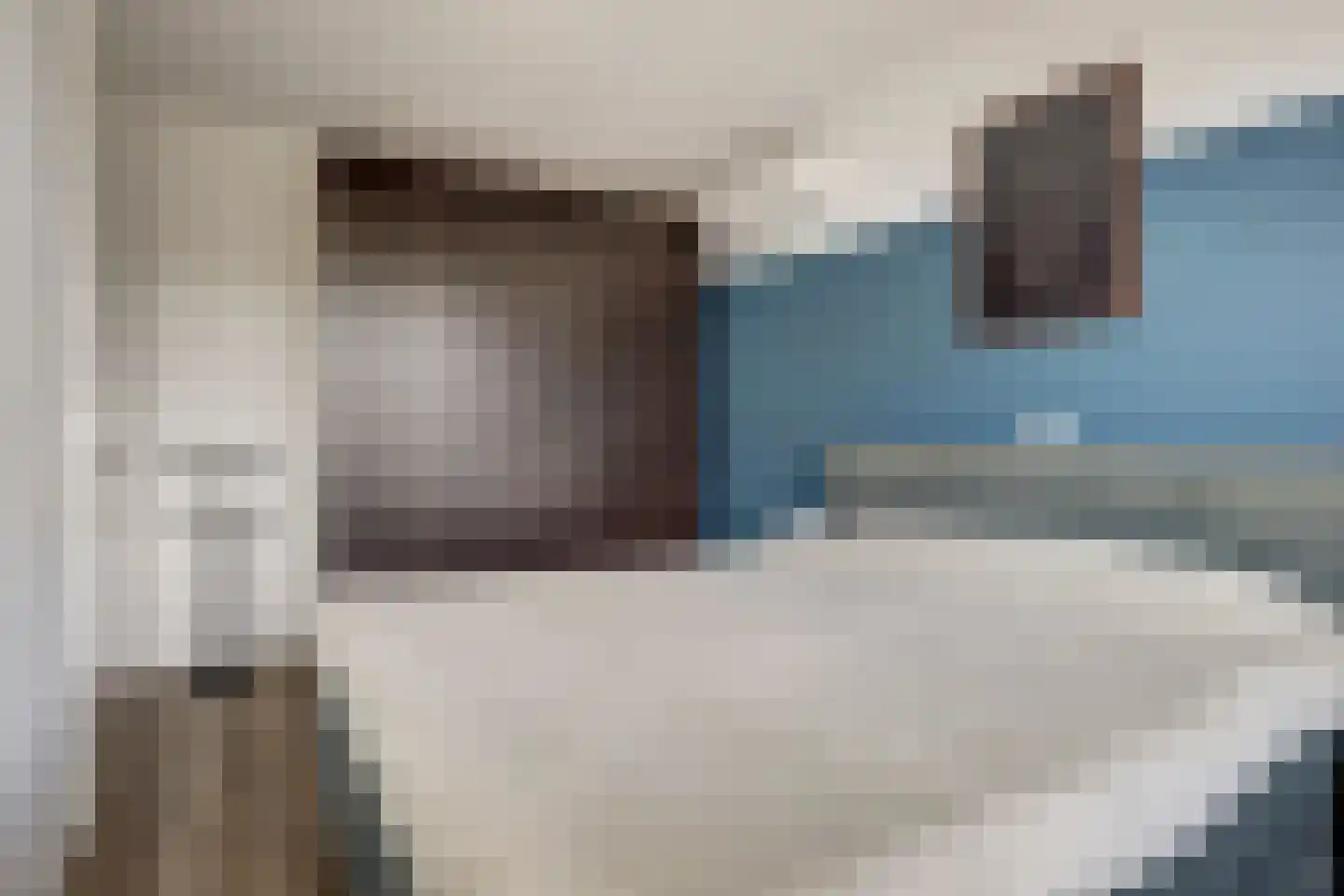 Duist 20 Anna Paulowna thumbnail 17
