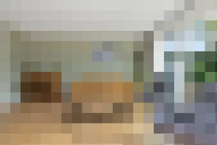 Duist 21 Anna Paulowna thumbnail 11