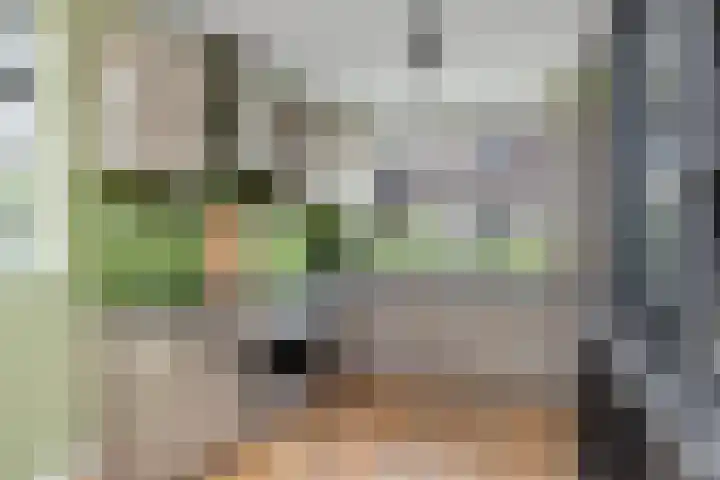 Duist 21 Anna Paulowna thumbnail 13