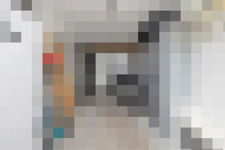 Duist 21 Anna Paulowna thumbnail 15