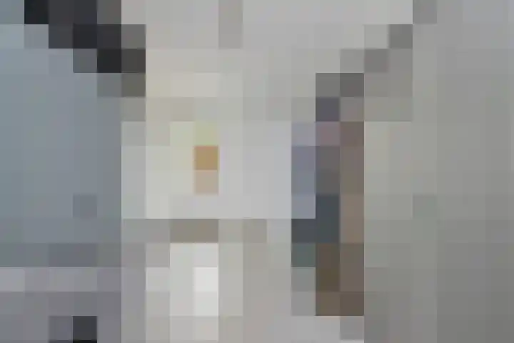 Duist 21 Anna Paulowna thumbnail 16