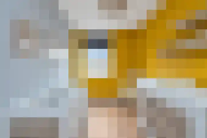 Duist 21 Anna Paulowna thumbnail 20