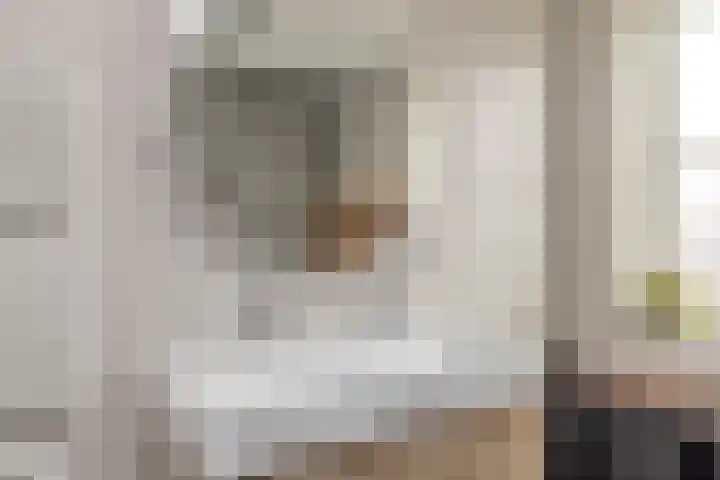 Duist 21 Anna Paulowna thumbnail 23