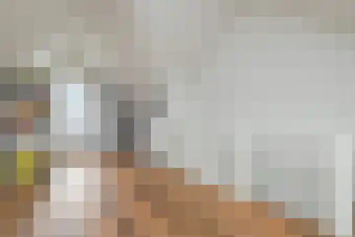 Duist 21 Anna Paulowna thumbnail 28
