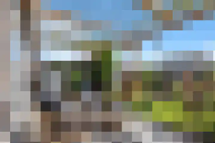 Duist 21 Anna Paulowna thumbnail 33