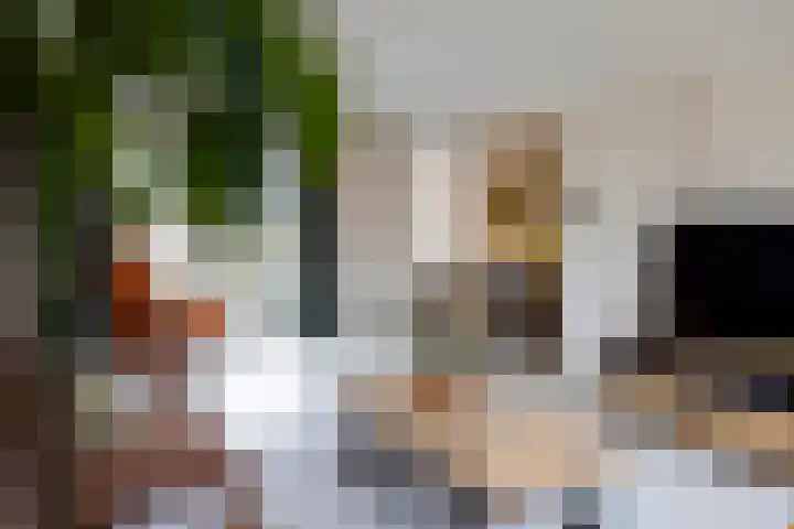 Duistelbeemd 1 Reusel thumbnail 13